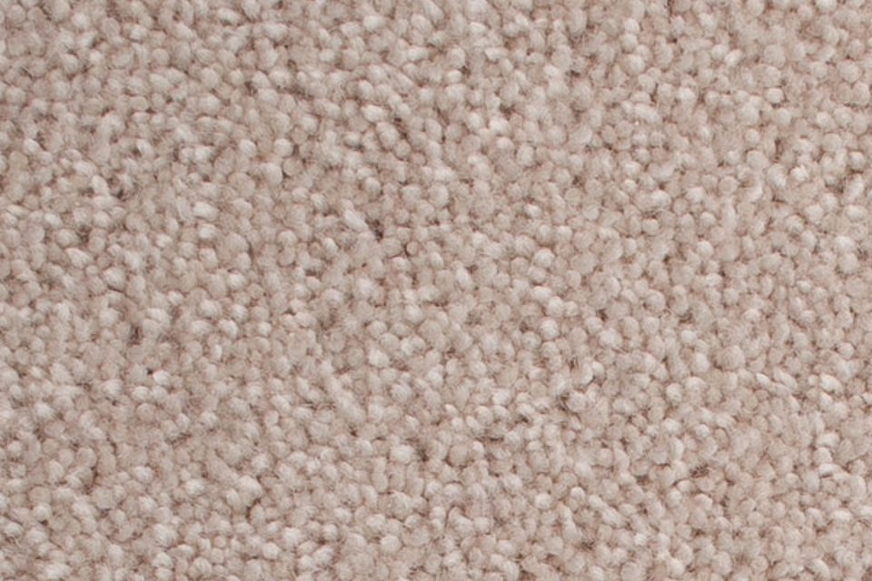 Carpet Swatch 6