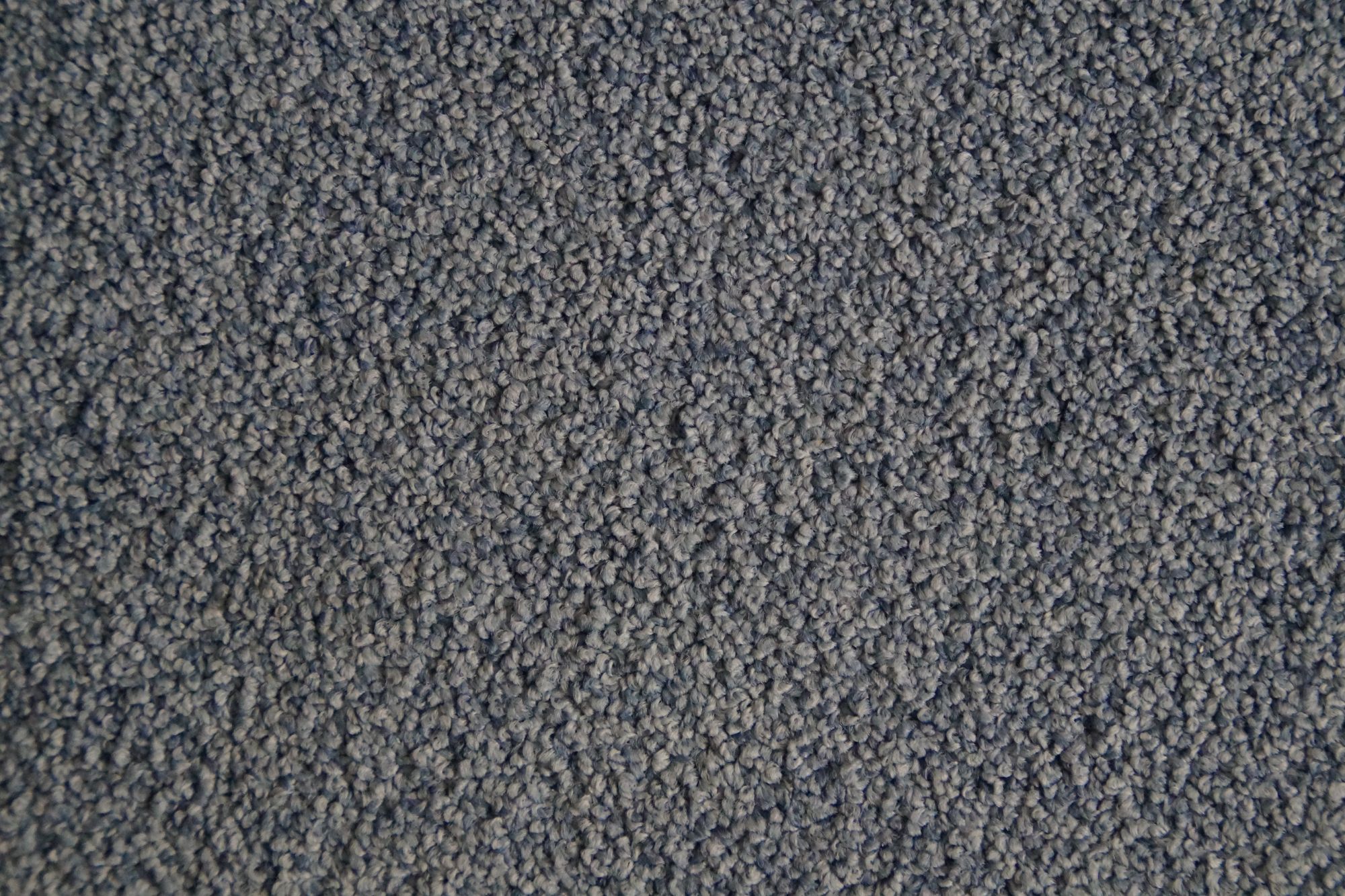 Carpet Swatch 1