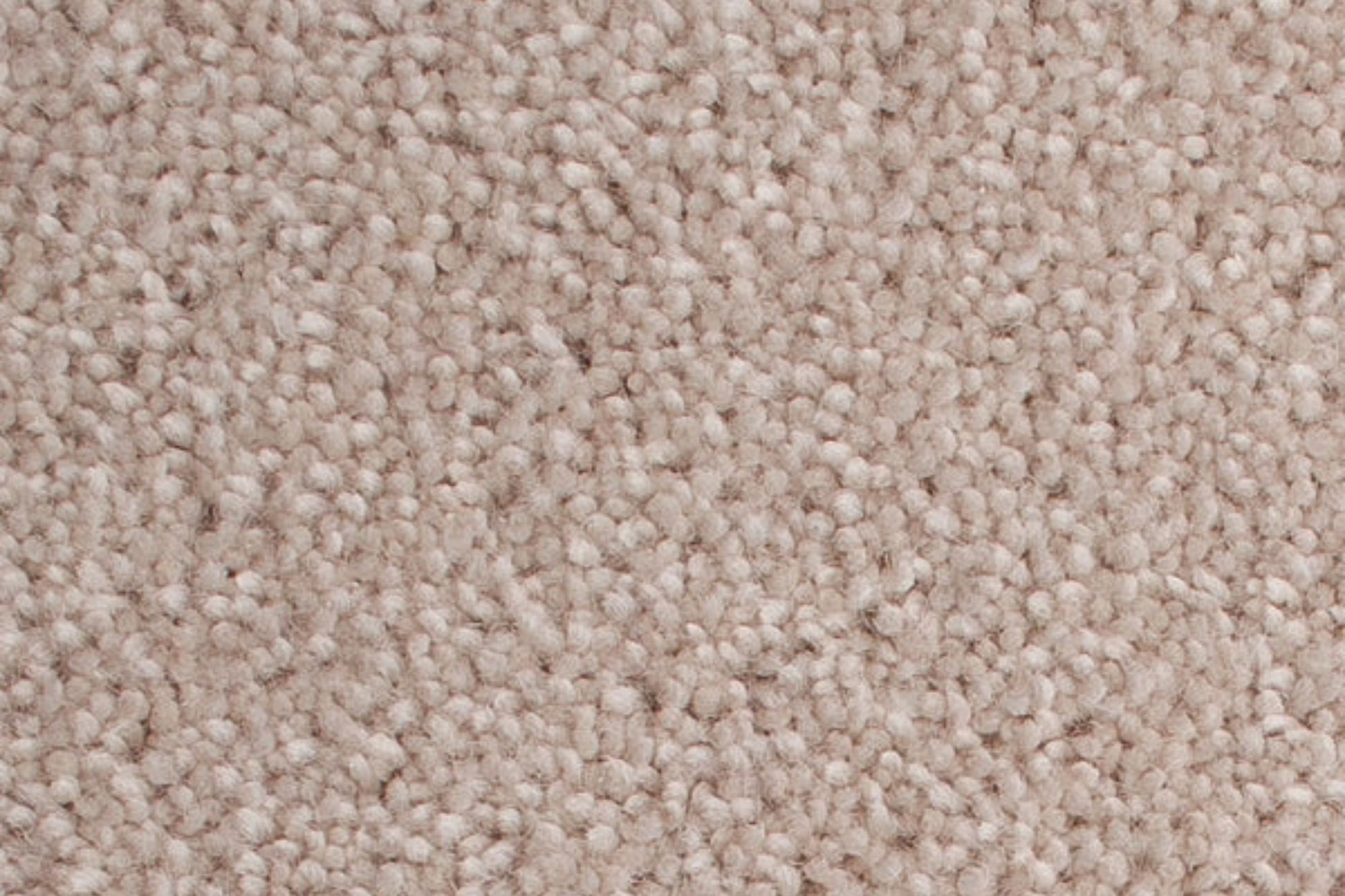 Carpet Swatch 6